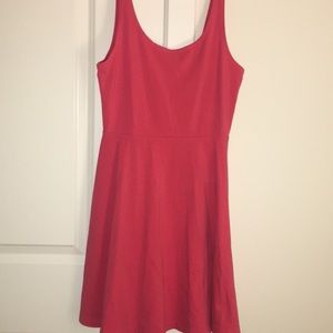 Express Skater Dress
